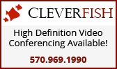 Cleverfish high definition video conferencing